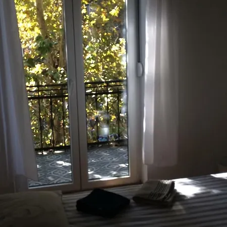 Cricket Park Auberge de jeunesse *